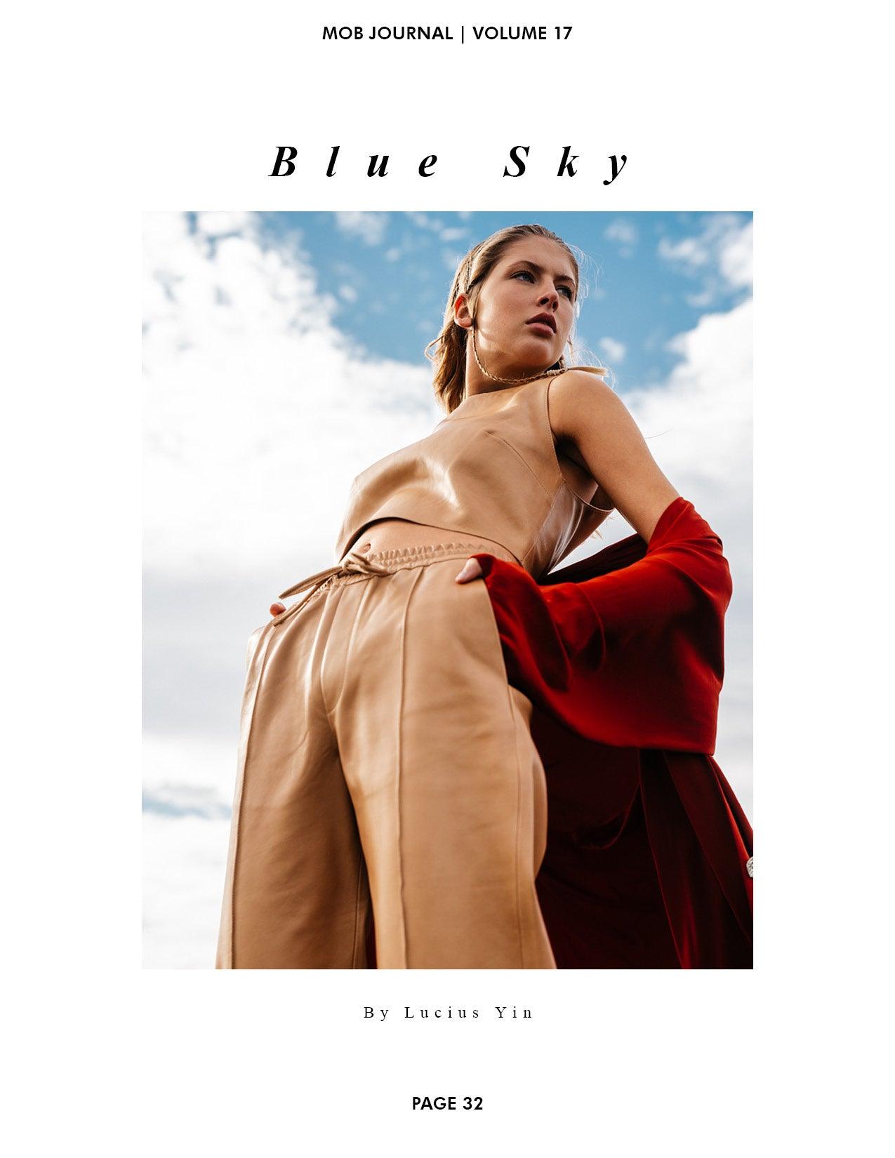 MOB JOURNAL | VOLUME SEVENTEEN | ISSUE #13 - Mob Journal