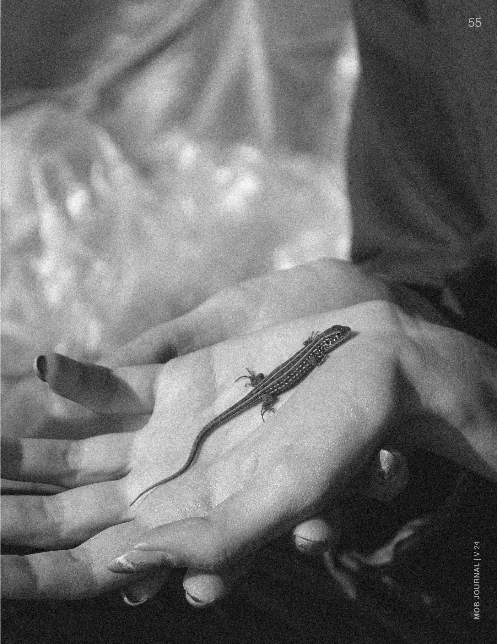 MOB JOURNAL | VOLUME TWENTY FOUR | ISSUE #05 - Mob Journal