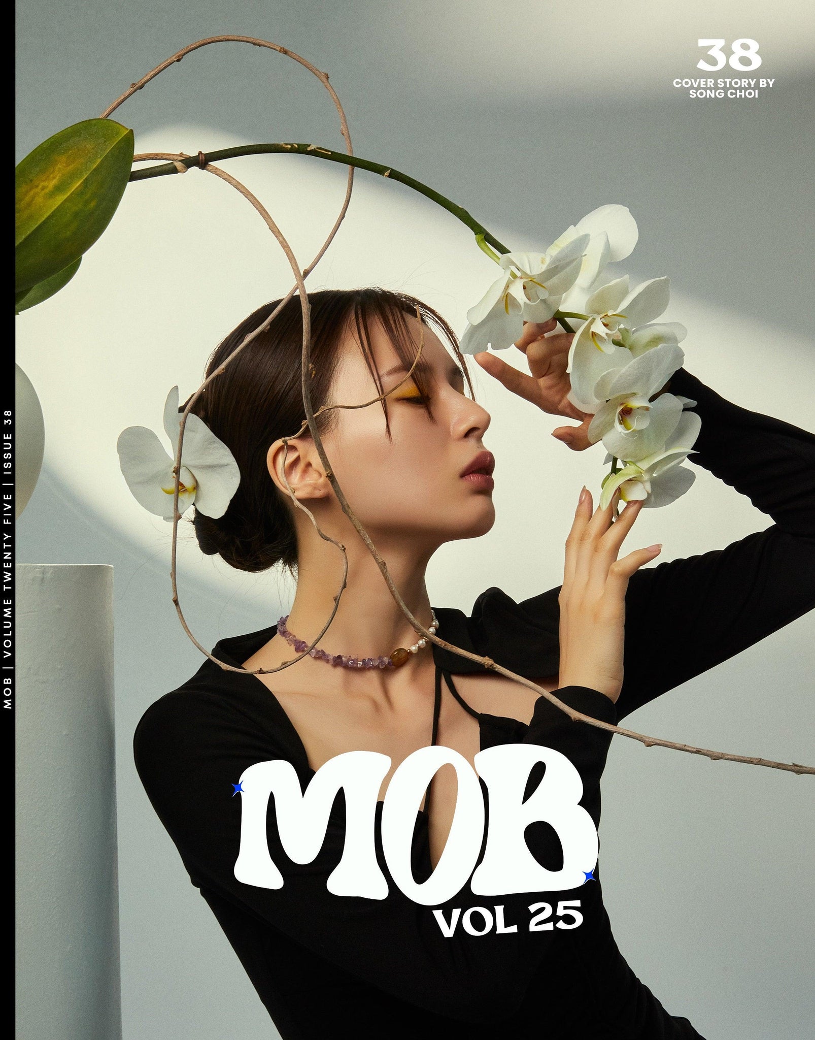 MOB JOURNAL | VOLUME TWENTY FIVE | ISSUE #38 - Mob Journal