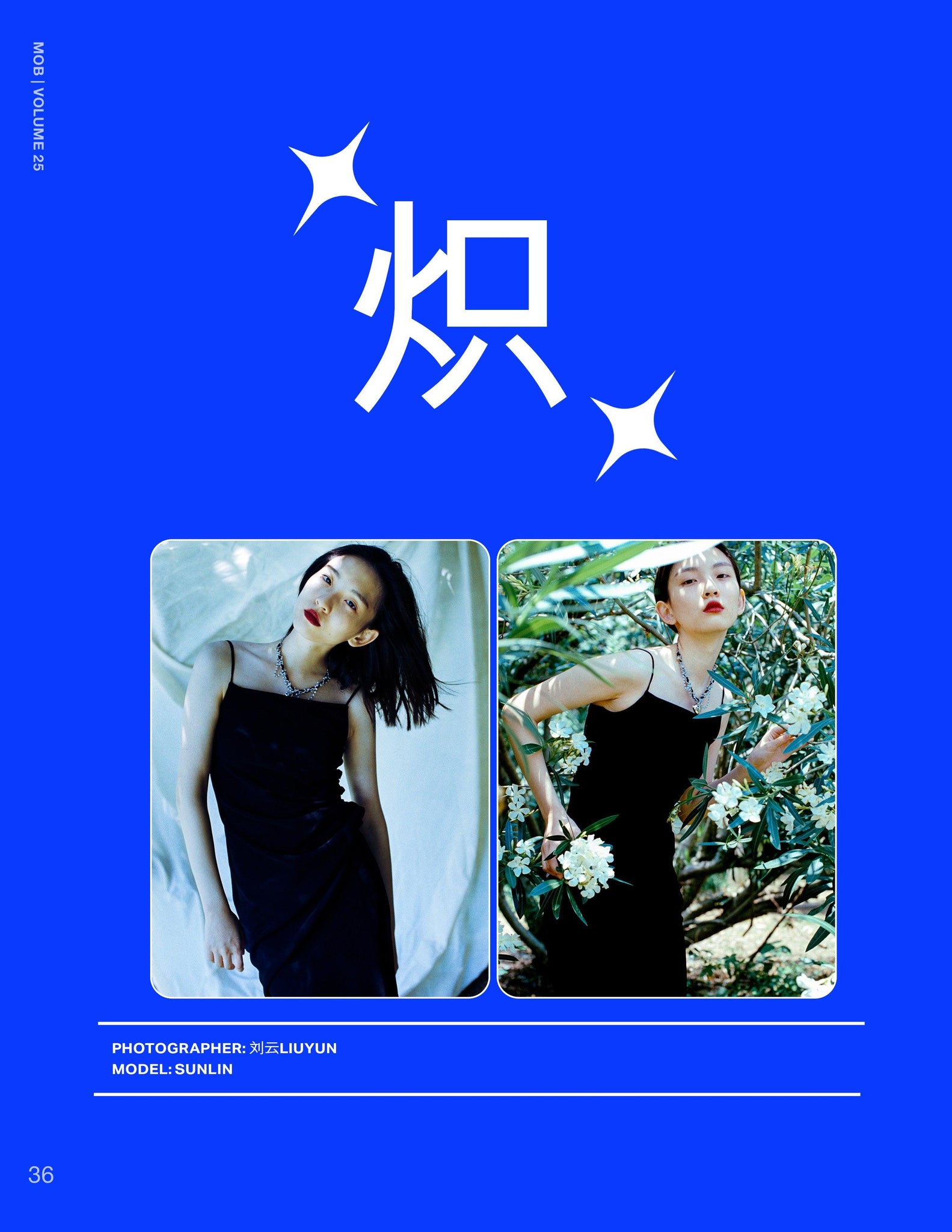 MOB JOURNAL | VOLUME TWENTY FIVE | ISSUE #58 - Mob Journal