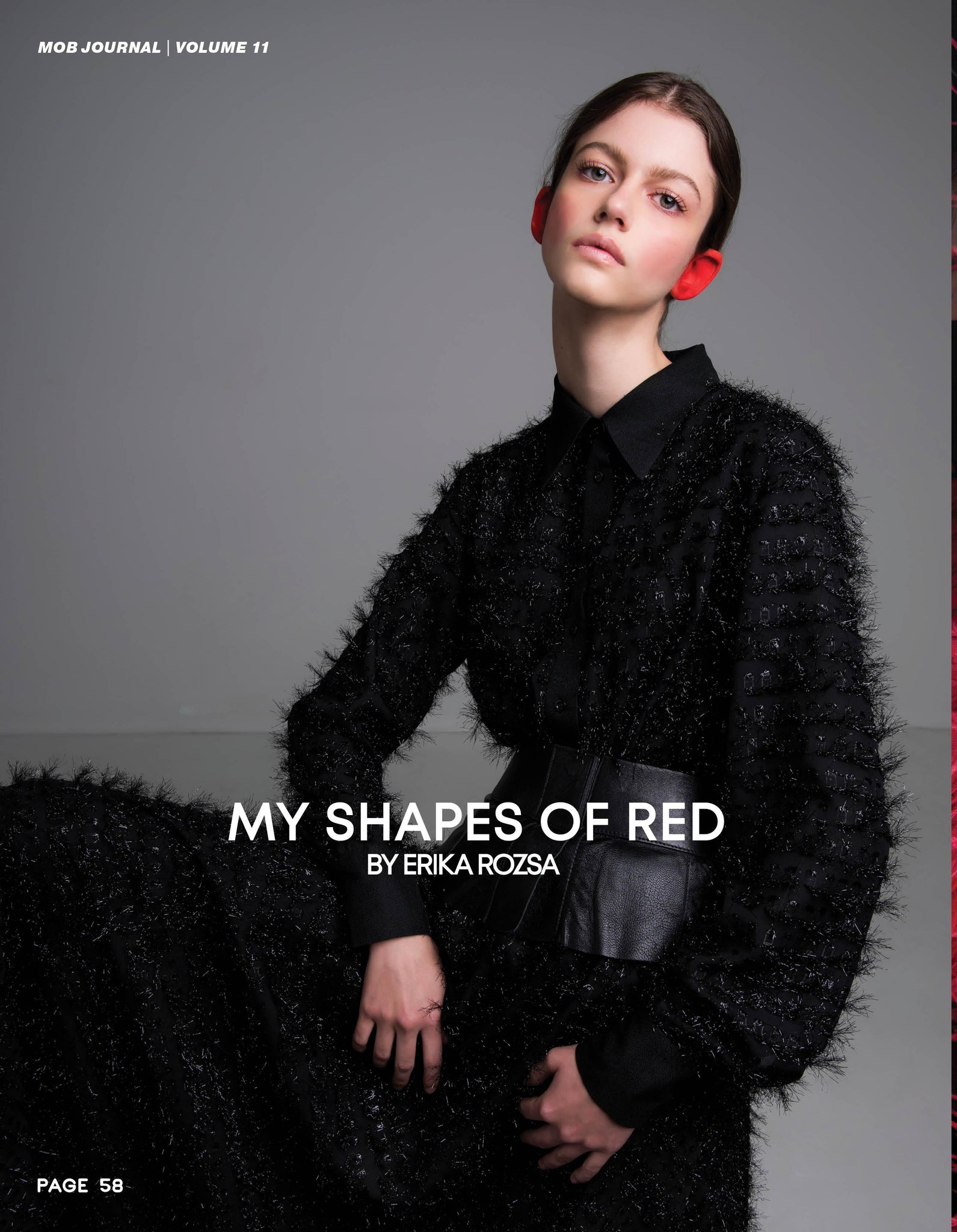 MOB JOURNAL | VOLUME ELEVEN | ISSUE #12 - Mob Journal